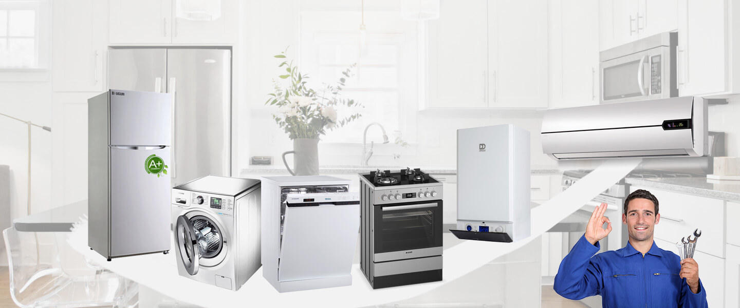 Emiralem Dominox Servisi
